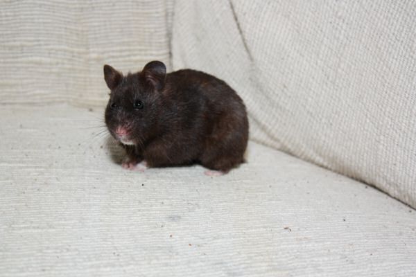 Another Lucy Trick ...