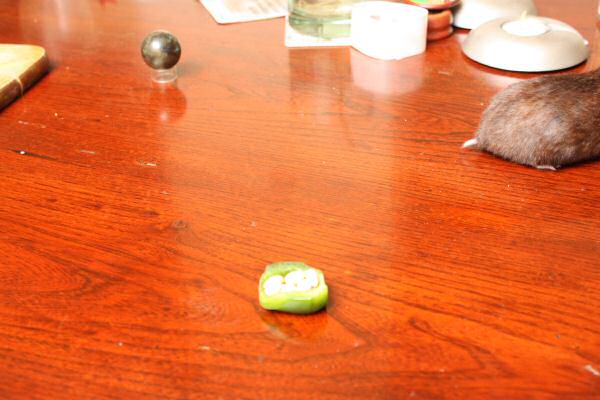 Happy Holidays, dear HamsterTracker-Dudes and -Dudettes !