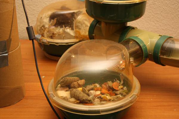 When Lucy Asks, She Gets!