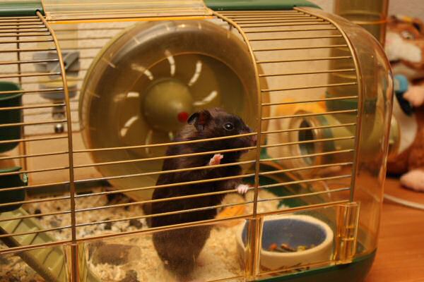 When Lucy Asks, She Gets!