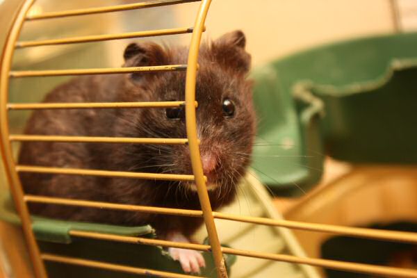 When Lucy Asks, She Gets!