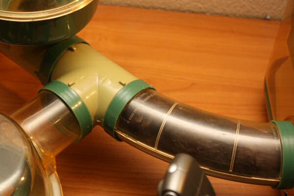 When Lucy Asks, She Gets!