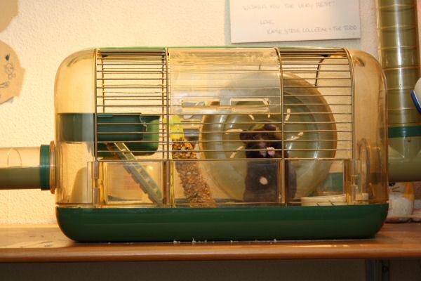 Hardware Troubles for both Lucy and me!