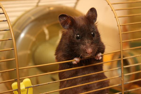 Hardware Troubles for both Lucy and me!