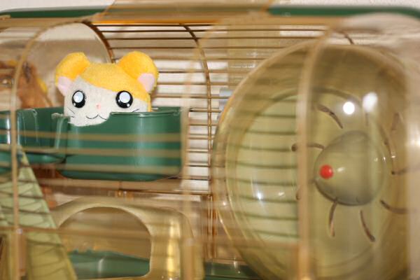 After Lucy 4.0 ... not quite the real thing!