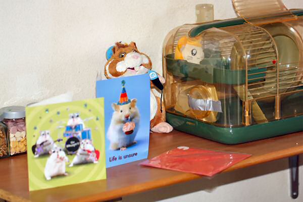 After Lucy 4.0 ... not quite the real thing!