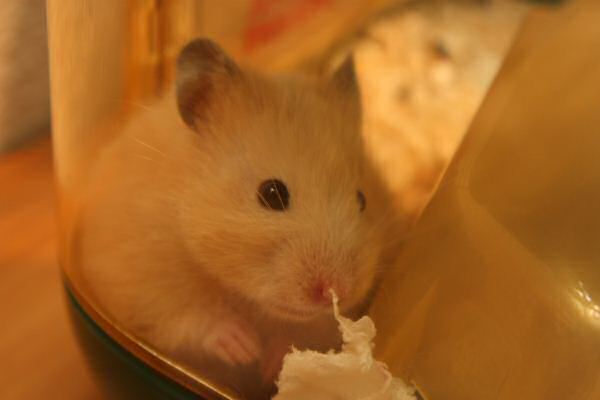 Getting to know Lucy, and she's getting to know me!