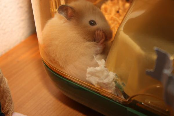 Getting to know Lucy, and she's getting to know me!