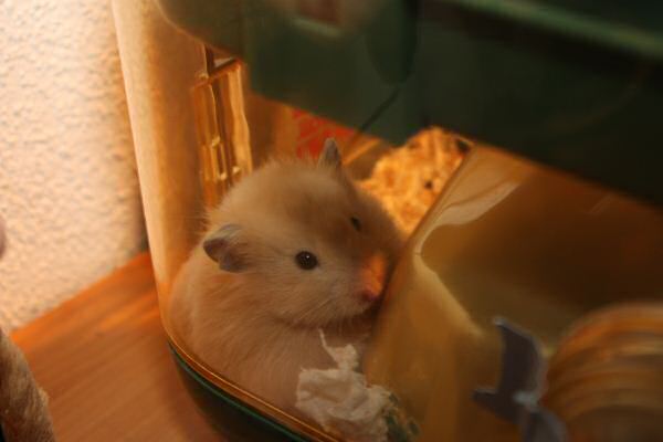 Getting to know Lucy, and she's getting to know me!