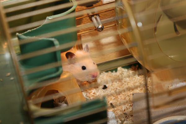 Getting to know Lucy, and she's getting to know me!