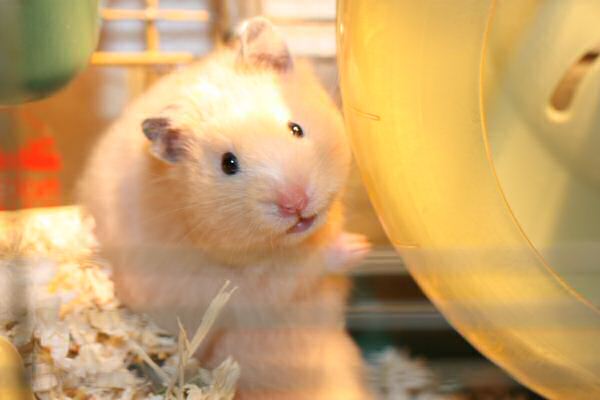 Second evening out with Lucy!