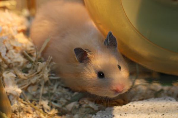 Second evening out with Lucy!