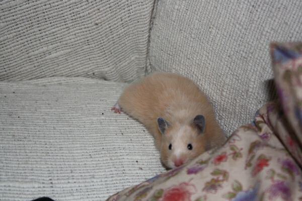 Second evening out with Lucy!