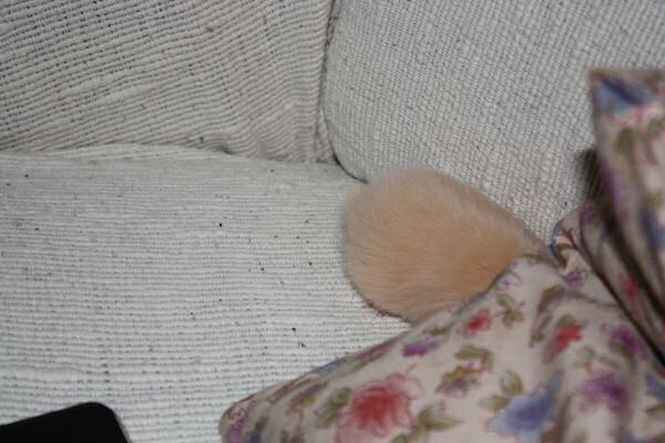 Second evening out with Lucy!