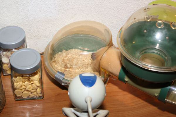 The First MASSIVE Lucy Mansion Clean!