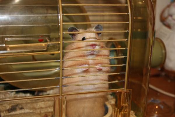 Couch time with Lucy...