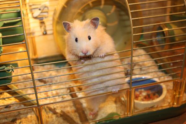 Couch time with Lucy...