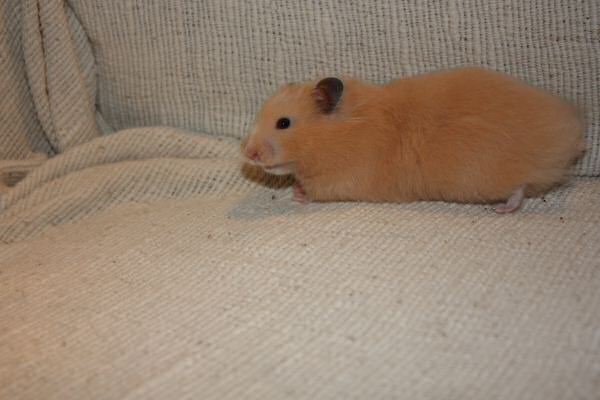 Couch time with Lucy...