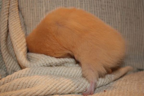 Couch time with Lucy...