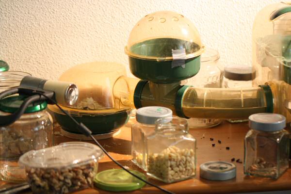 Lucy does enjoy me enjoying Glow...