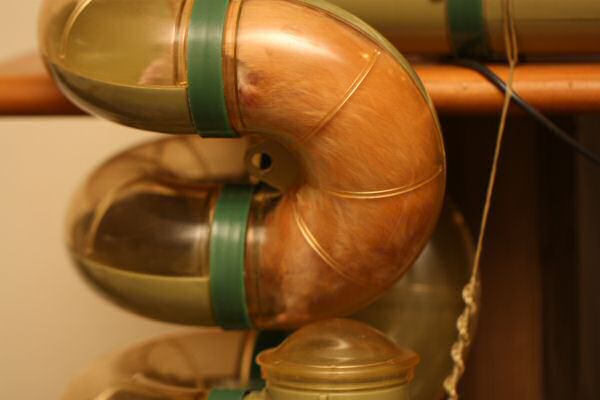 Lucy in her Basement