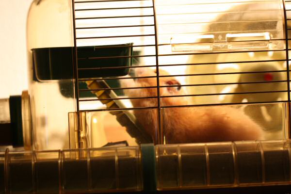 Lucy showing herself. Lucy showing herself.