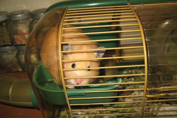 Lucy showing herself. Lucy showing herself.