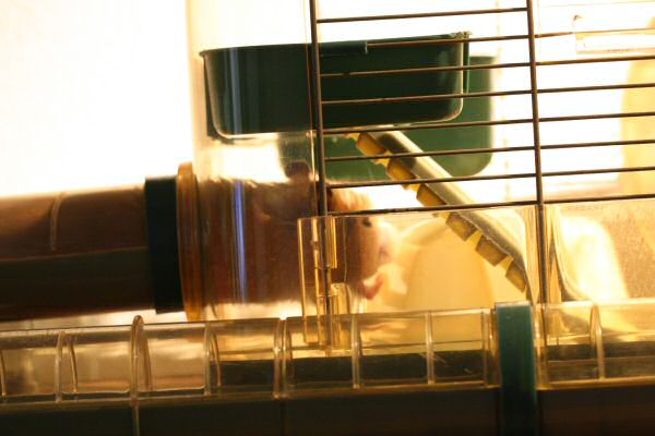 Oke, oke, just give me a moment, oke?