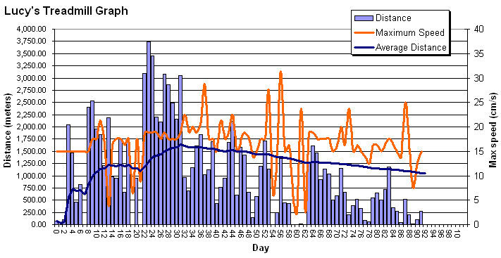 Lucy's statistical graph made on March 12, 2005 - 18:45.