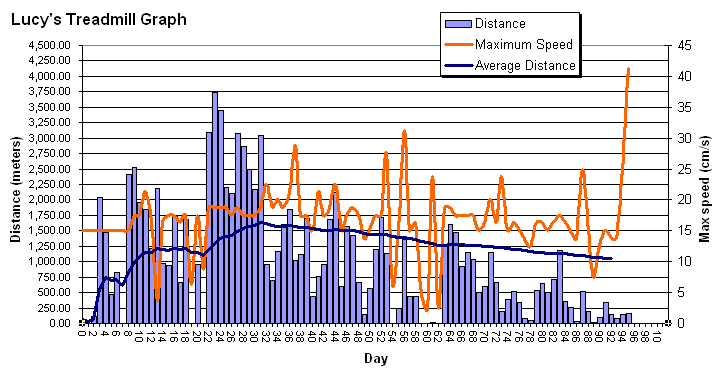 Lucy's statistical graph made on March 16, 2005.