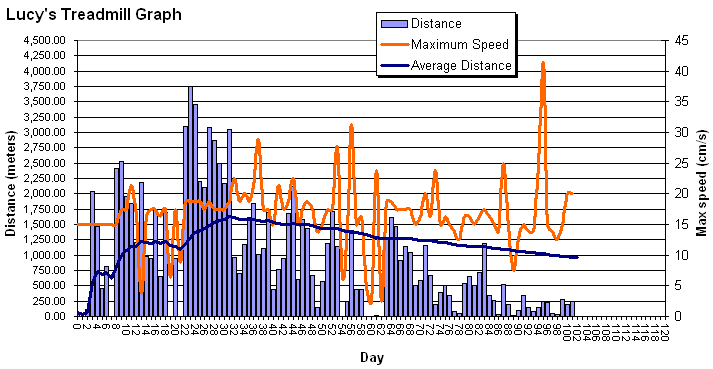 Lucy's statistical graph made on March 22, 2005 - 21:00.