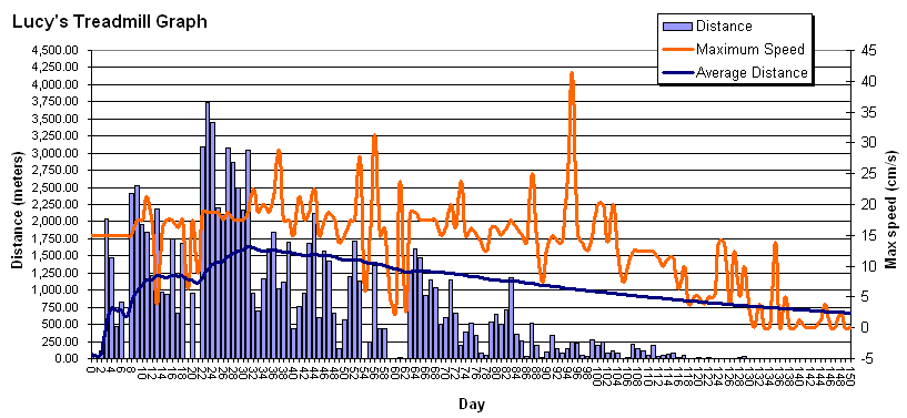Last graph of Lucy's treadmill statistics.