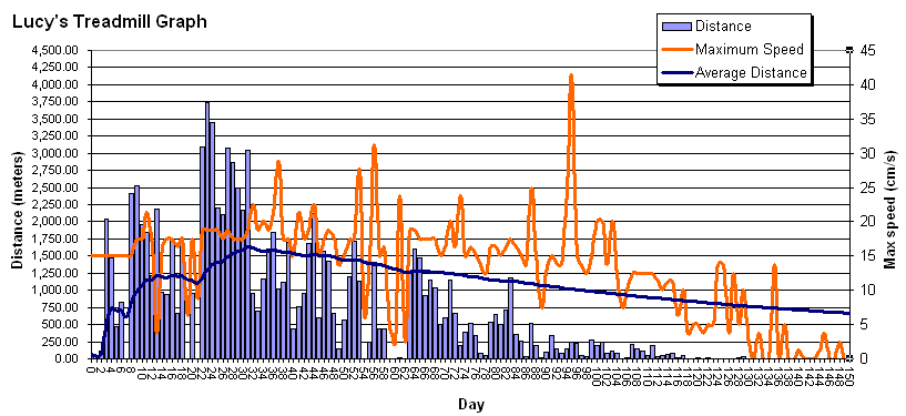 Last graph of Lucy's treadmill statistics (version 2).