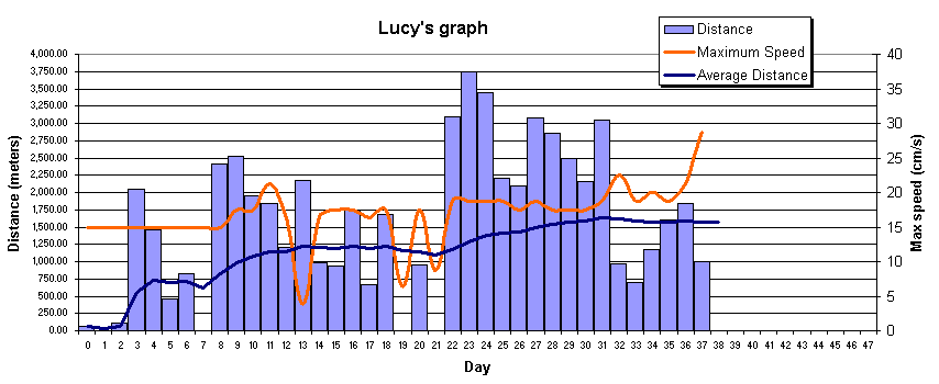 Lucy's statistical graph made on January 17, 2005 - 17:10.