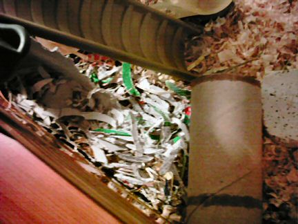 Picture what Lucy can do with a cardboard box.