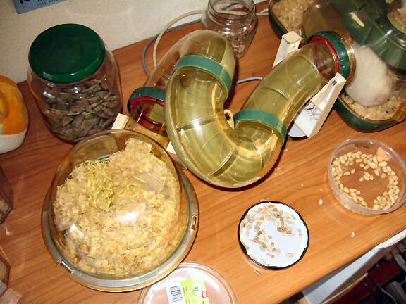 Picture of Lucy's new bedroom.