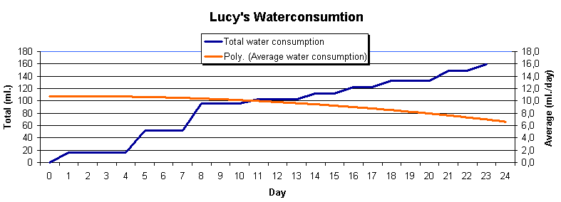 Lucy's graph of her water consumption until January 2, 2005 - 19:00.