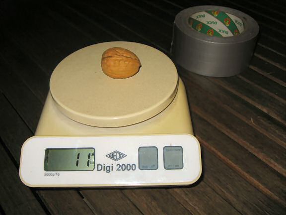 Picture of the letter-scale I lend from the office to determine Lucy's weight.