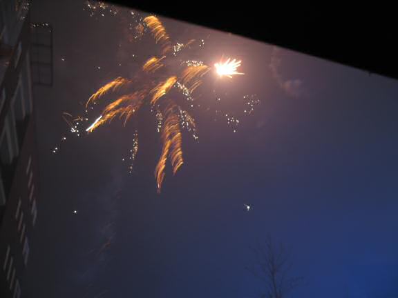 Happy New Year by HamsterTracker™ !