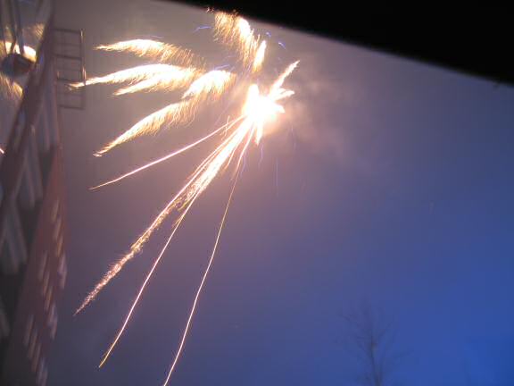 Happy New Year by HamsterTracker™ !