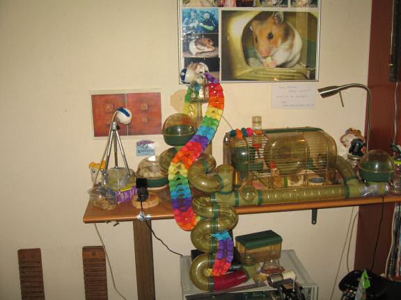 My hamster Lucy's second birthday !!!