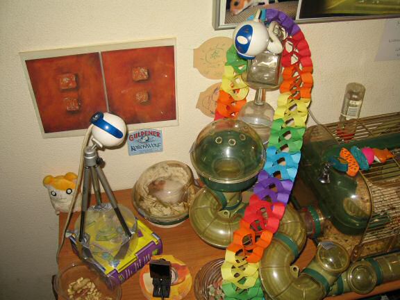 My hamster Lucy's second birthday !!!