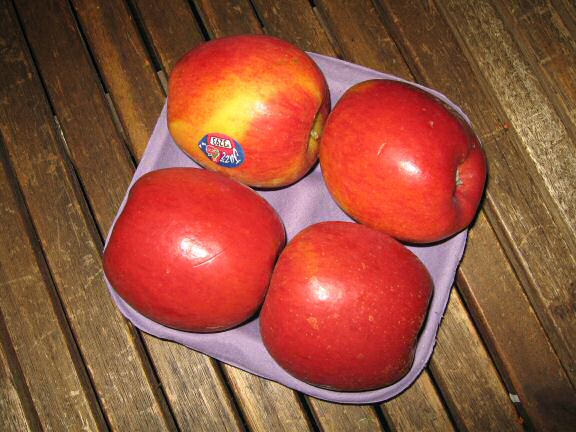 My hamster Lucy's second birthday !!!