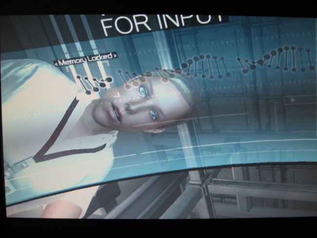 Gaming fun at the HamsterTracker-Main Office