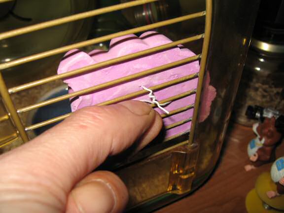 Lucy and her 'Adori Gnawing Stone (fruit flavour)'.