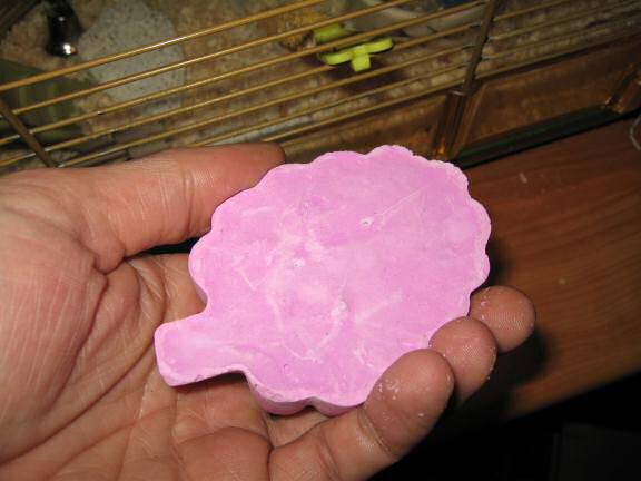 Lucy and her 'Adori Gnawing Stone (fruit flavour)'.