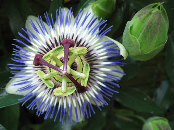 Hikin' in my back-yard.