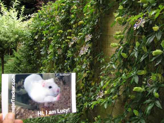 Hikin' in my back-yard.