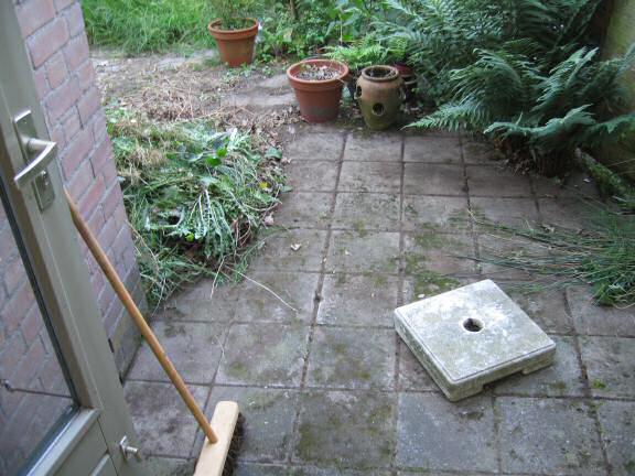 Behind the (backyard) scenes of HamsterTracker.com