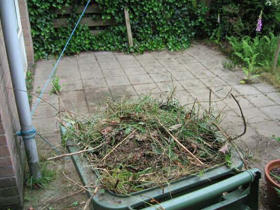 Behind the (backyard) scenes of HamsterTracker.com